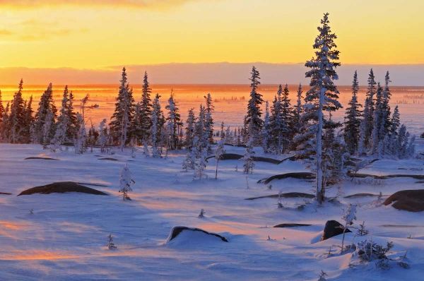 Canada, Churchill, Hudson Bay Sunrise on tundra